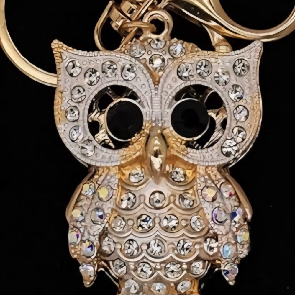 Gold and Silver Owl Keychain Purse Charm New